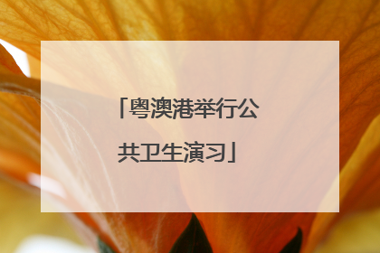 粤澳港举行公共卫生演习