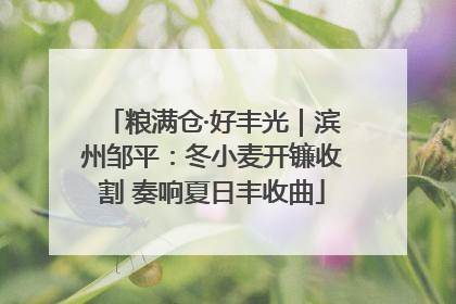 粮满仓·好丰光｜滨州邹平：冬小麦开镰收割 奏响夏日丰收曲