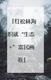 红松林海织就“生态+”富民画卷