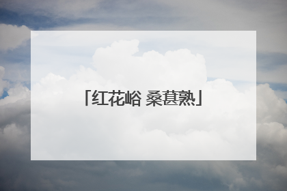 红花峪 桑葚熟