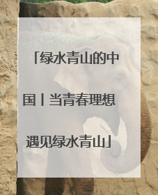 绿水青山的中国丨当青春理想遇见绿水青山