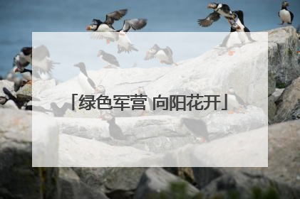 绿色军营 向阳花开