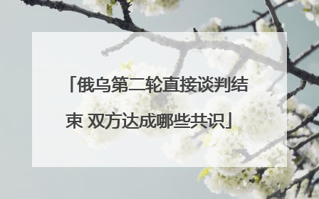 俄乌第二轮直接谈判结束 双方达成哪些共识