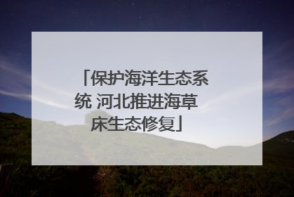 保护海洋生态系统 河北推进海草床生态修复