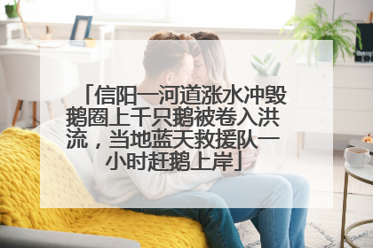 信阳一河道涨水冲毁鹅圈上千只鹅被卷入洪流，当地蓝天救援队一小时赶鹅上岸