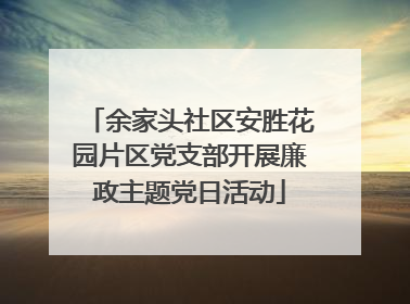 余家头社区安胜花园片区党支部开展廉政主题党日活动