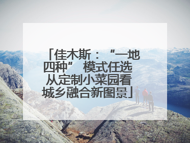 佳木斯：“一地四种” 模式任选 从定制小菜园看城乡融合新图景