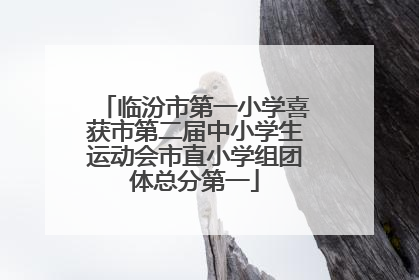临汾市第一小学喜获市第二届中小学生运动会市直小学组团体总分第一