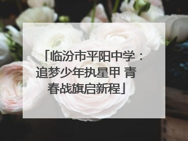 临汾市平阳中学：追梦少年执星甲 青春战旗启新程