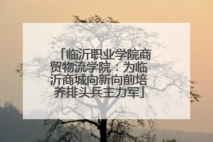 临沂职业学院商贸物流学院：为临沂商城向新向前培养排头兵主力军
