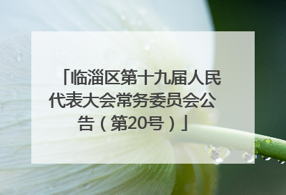 临淄区第十九届人民代表大会常务委员会公告（第20号）