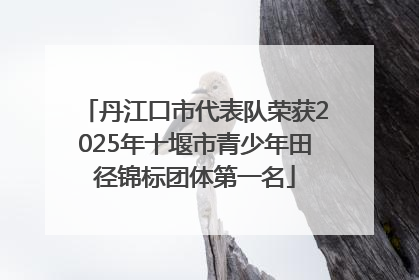 丹江口市代表队荣获2025年十堰市青少年田径锦标团体第一名