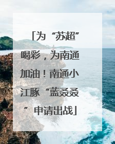 为“苏超”喝彩，为南通加油！南通小江豚“蓝叒叒”申请出战