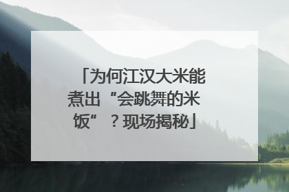 为何江汉大米能煮出“会跳舞的米饭”？现场揭秘