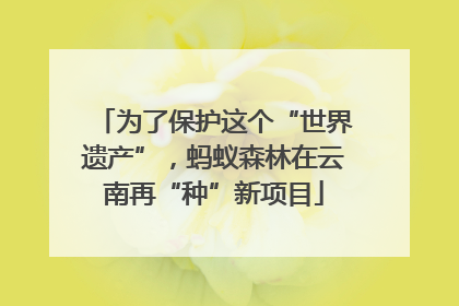 为了保护这个“世界遗产”，蚂蚁森林在云南再“种”新项目