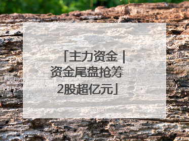 主力资金｜资金尾盘抢筹2股超亿元