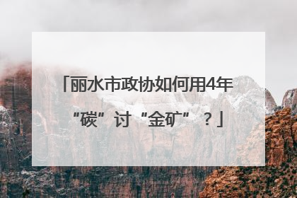 丽水市政协如何用4年“碳”讨“金矿”？