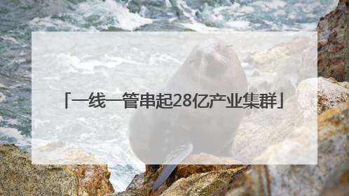 一线一管串起28亿产业集群