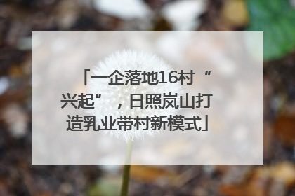 一企落地16村“兴起”，日照岚山打造乳业带村新模式