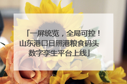 一屏统览，全局可控！山东港口日照港粮食码头数字孪生平台上线