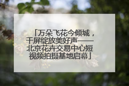万朵飞花今倾城，千屏绽放美好声——北京花卉交易中心短视频拍摄基地启幕