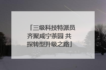 三级科技特派员齐聚咸宁茶园 共探转型升级之路