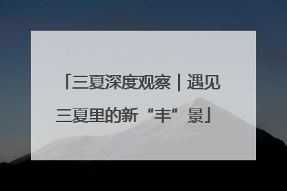 三夏深度观察｜遇见三夏里的新“丰”景