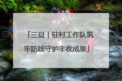 三夏｜驻村工作队筑牢防线守护丰收成果
