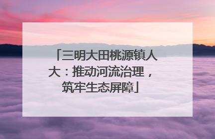 三明大田桃源镇人大：推动河流治理，筑牢生态屏障