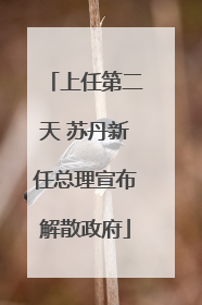 上任第二天 苏丹新任总理宣布解散政府