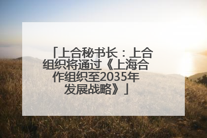 上合秘书长：上合组织将通过《上海合作组织至2035年发展战略》