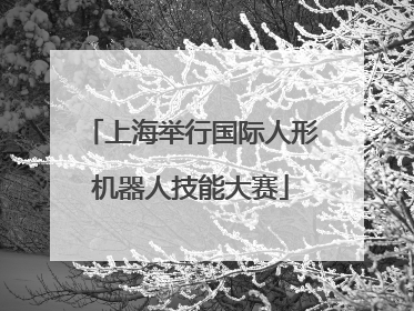上海举行国际人形机器人技能大赛