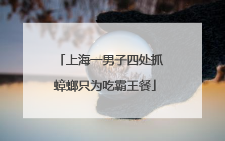 上海一男子四处抓蟑螂只为吃霸王餐