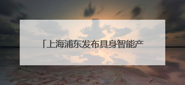 上海浦东发布具身智能产业支持16条政策：单个项目支持额度最高可达亿级
