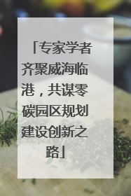 专家学者齐聚威海临港，共谋零碳园区规划建设创新之路