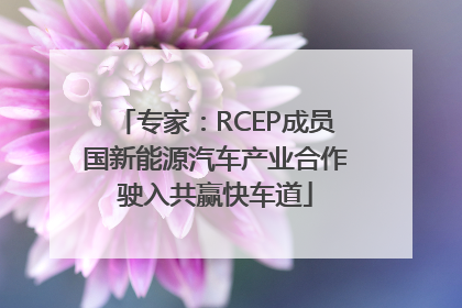 专家：RCEP成员国新能源汽车产业合作驶入共赢快车道