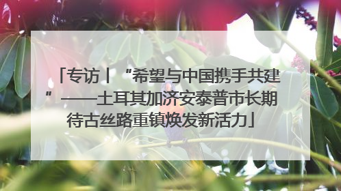 专访丨“希望与中国携手共建”——土耳其加济安泰普市长期待古丝路重镇焕发新活力