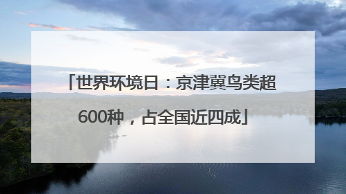 世界环境日：京津冀鸟类超600种，占全国近四成