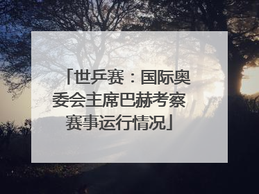 世乒赛：国际奥委会主席巴赫考察赛事运行情况