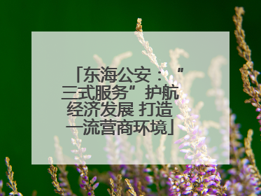 东海公安：“三式服务”护航经济发展 打造一流营商环境