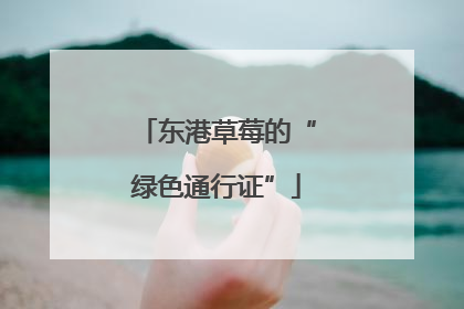 东港草莓的“绿色通行证”