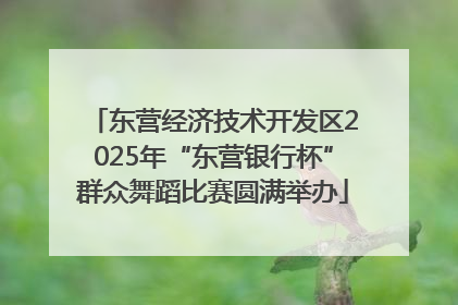 东营经济技术开发区2025年“东营银行杯”群众舞蹈比赛圆满举办