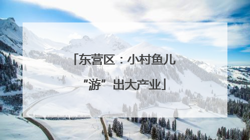 东营区：小村鱼儿“游”出大产业