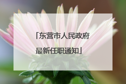 东营市人民政府最新任职通知