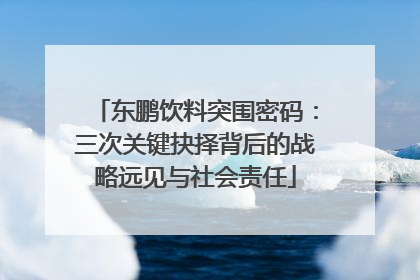 东鹏饮料突围密码：三次关键抉择背后的战略远见与社会责任