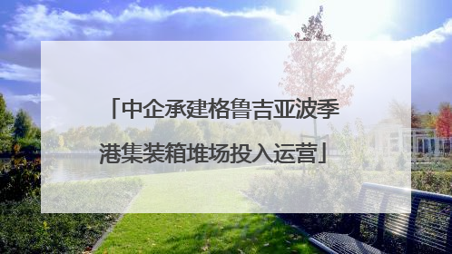 中企承建格鲁吉亚波季港集装箱堆场投入运营