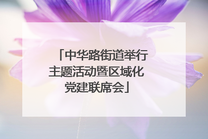 中华路街道举行主题活动暨区域化党建联席会