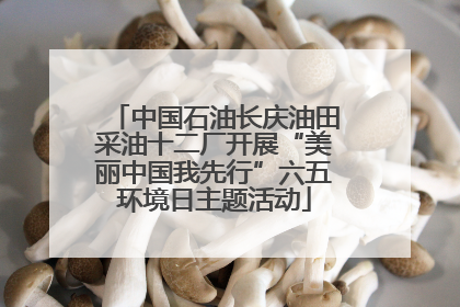 中国石油长庆油田采油十二厂开展“美丽中国我先行”六五环境日主题活动