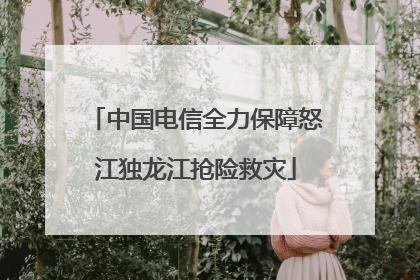 中国电信全力保障怒江独龙江抢险救灾