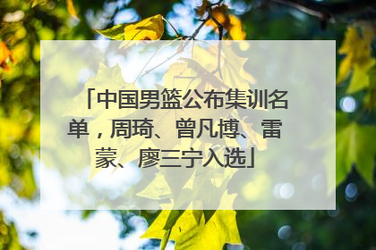 中国男篮公布集训名单，周琦、曾凡博、雷蒙、廖三宁入选
